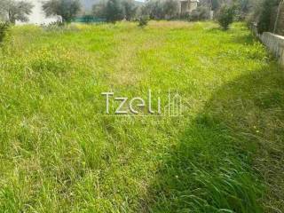 Άποψη οικοπέδου