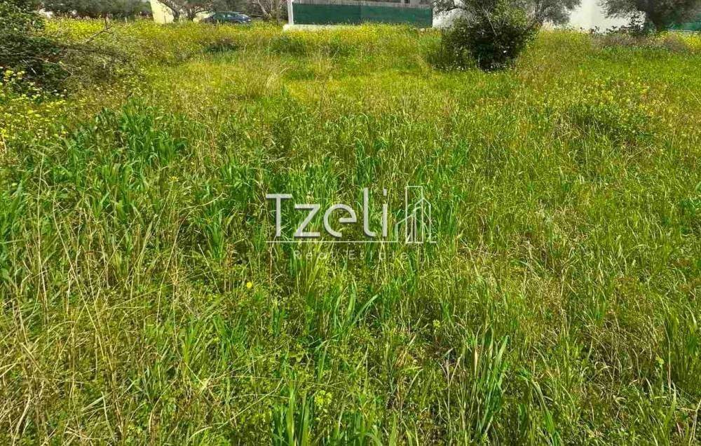 Άποψη οικοπέδου