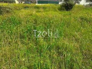 Άποψη οικοπέδου