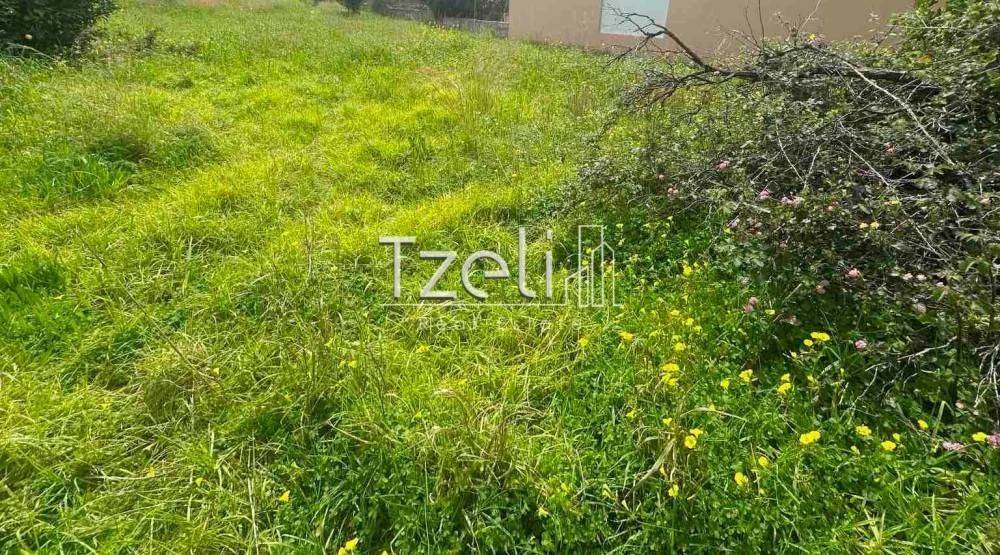 Άποψη οικοπέδου