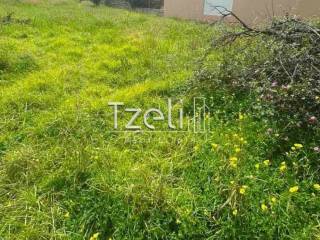 Άποψη οικοπέδου