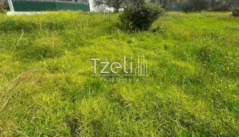 Άποψη οικοπέδου