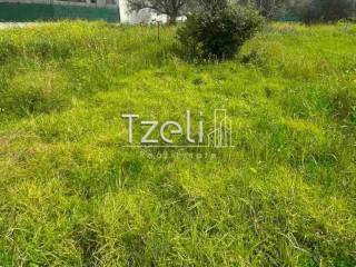 Άποψη οικοπέδου