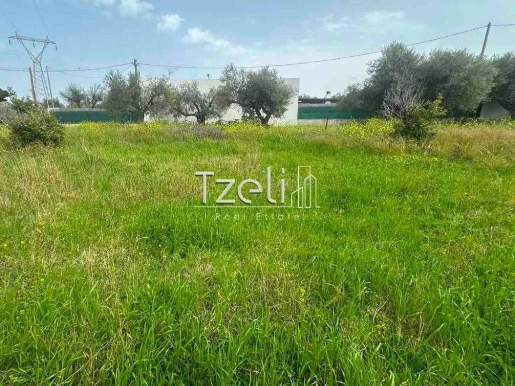 Άποψη οικοπέδου