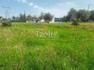 Άποψη οικοπέδου