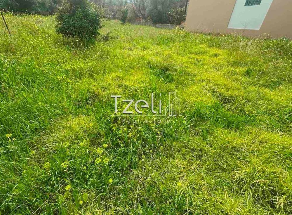 Άποψη οικοπέδου