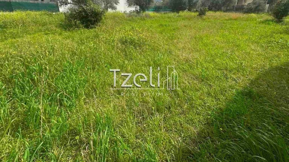 Άποψη οικοπέδου