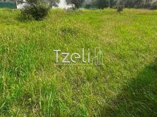 Άποψη οικοπέδου