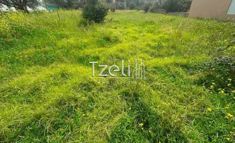 Άποψη οικοπέδου