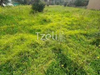 Άποψη οικοπέδου