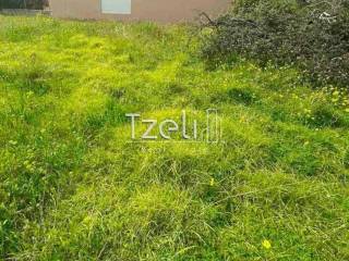 Άποψη οικοπέδου