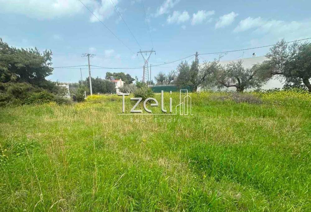 Άποψη οικοπέδου