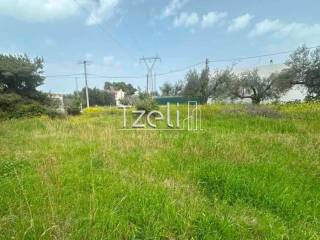 Άποψη οικοπέδου