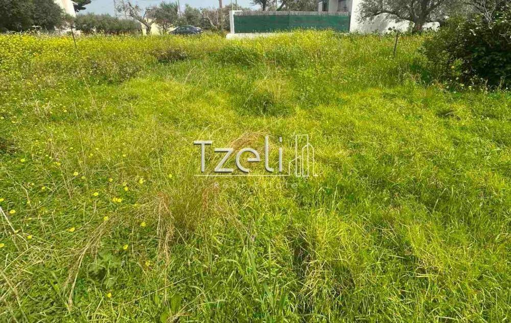 Άποψη οικοπέδου