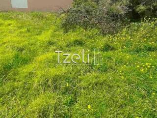 Άποψη οικοπέδου