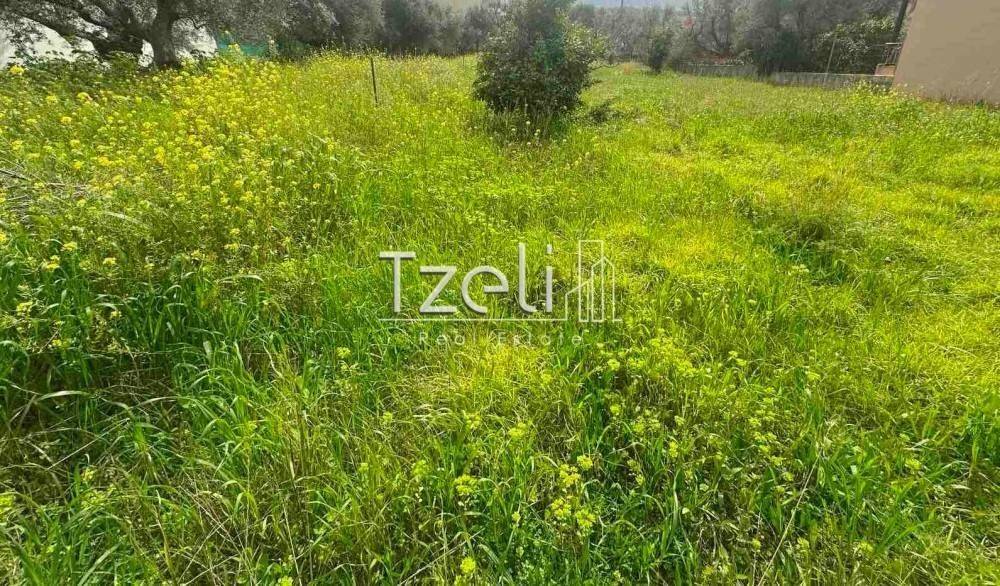 Άποψη οικοπέδου