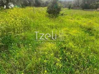 Άποψη οικοπέδου