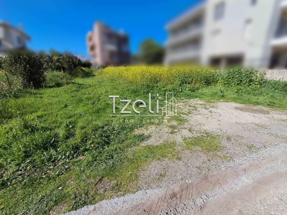 Άποψη οικοπέδου