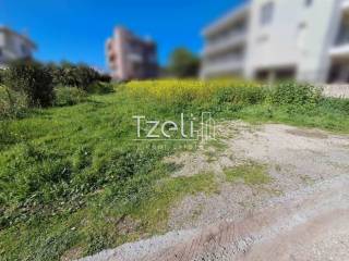 Άποψη οικοπέδου