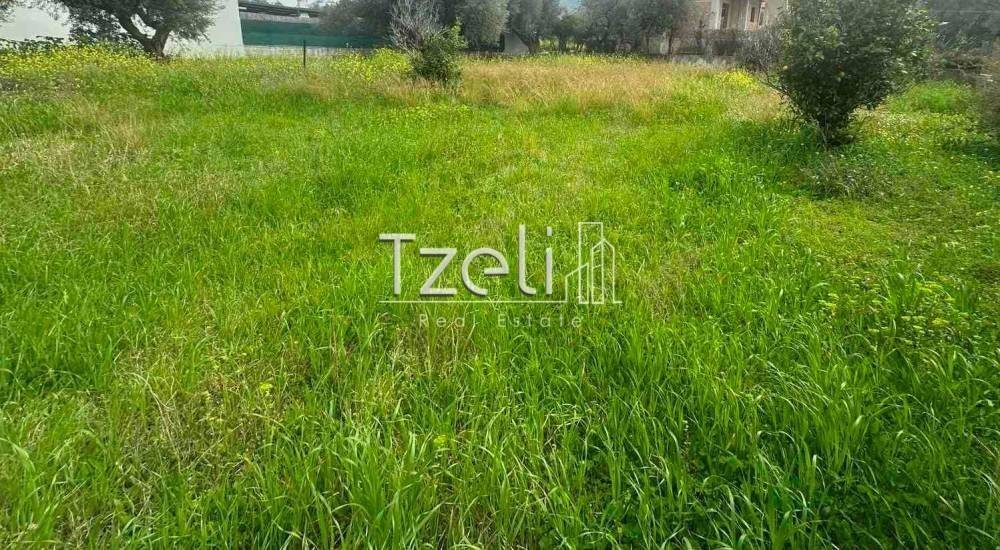 Άποψη οικοπέδου