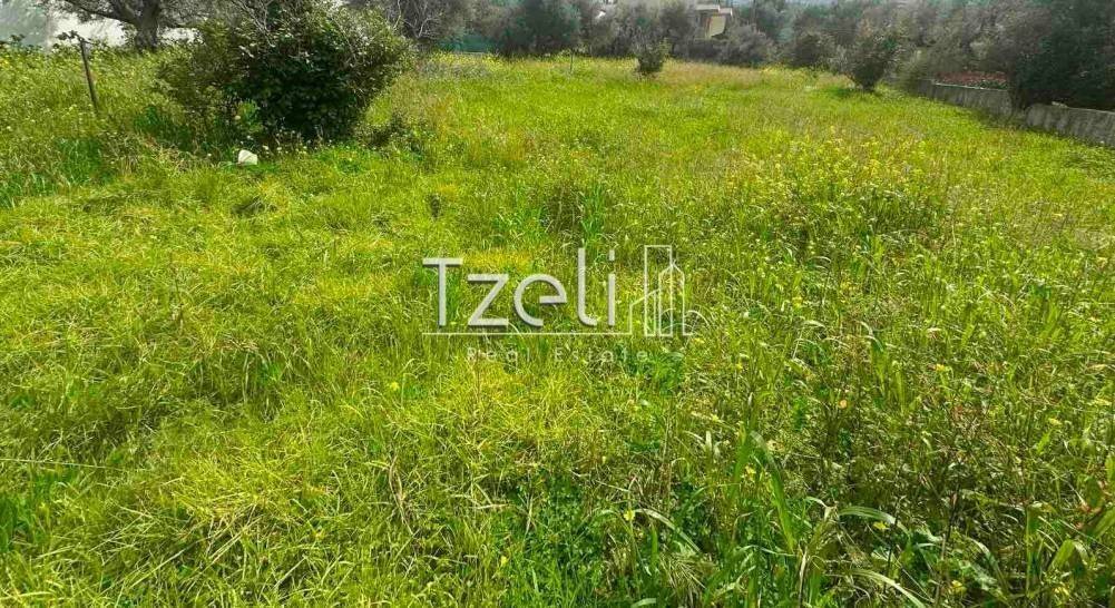 Άποψη οικοπέδου