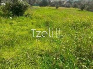 Άποψη οικοπέδου