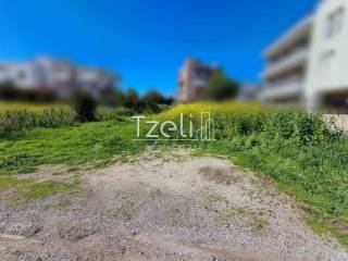 Άποψη οικοπέδου