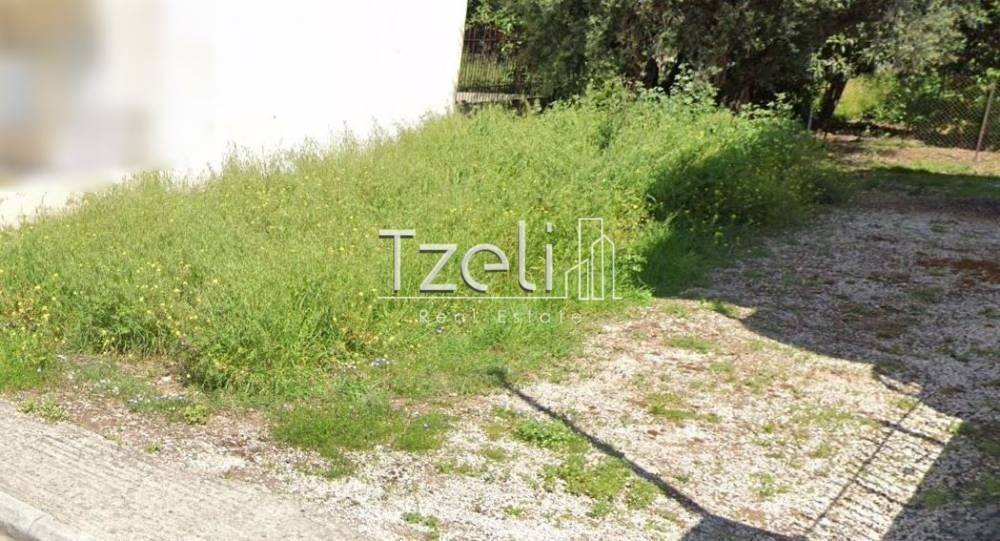 Άποψη οικοπέδου