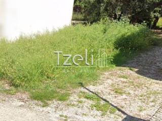 Άποψη οικοπέδου