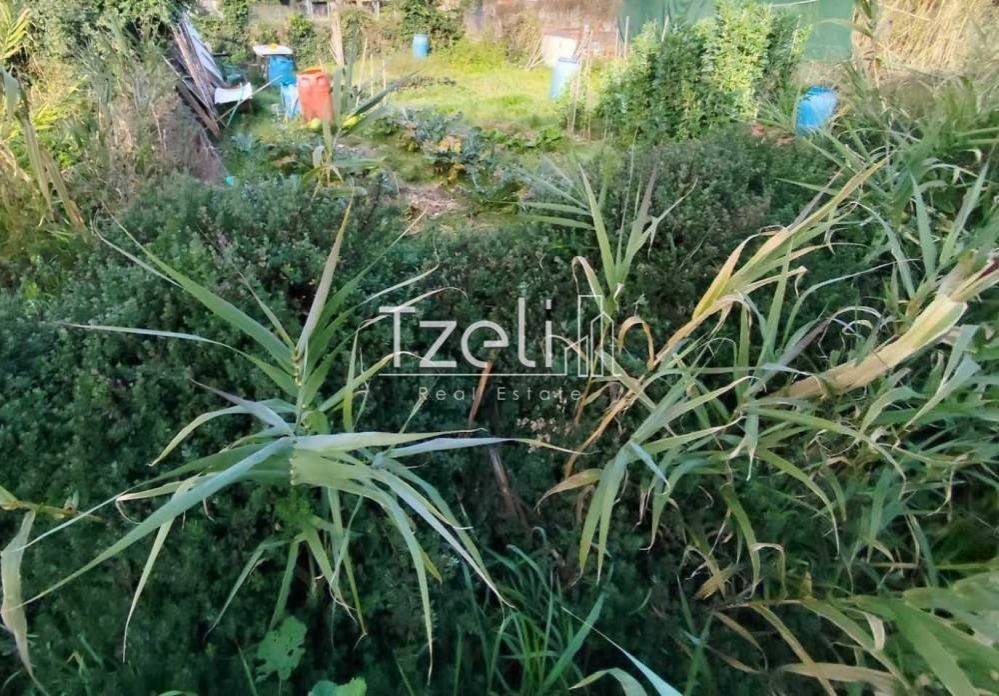 Άποψη οικοπέδου