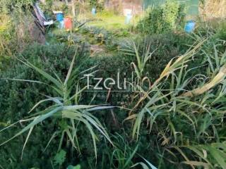 Άποψη οικοπέδου