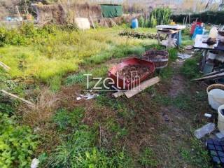 Άποψη οικοπέδου