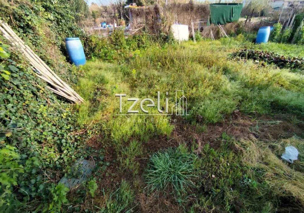 Άποψη οικοπέδου