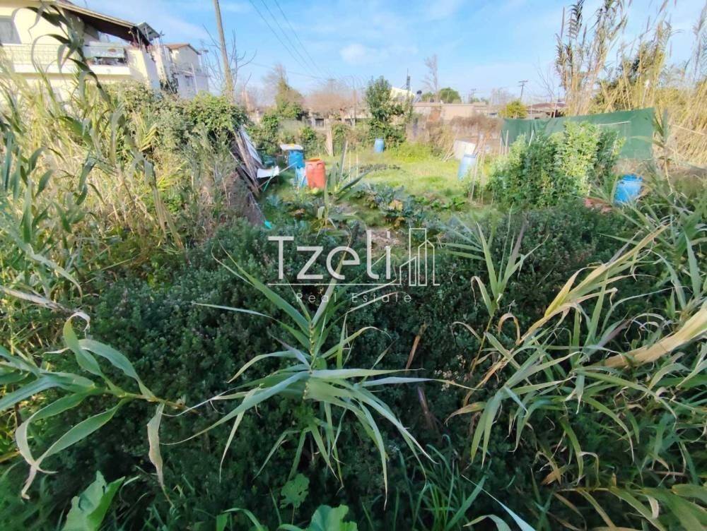 Άποψη οικοπέδου