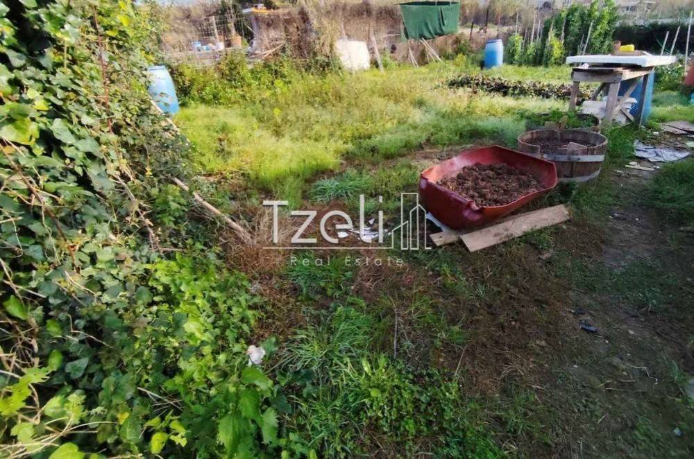 Άποψη οικοπέδου