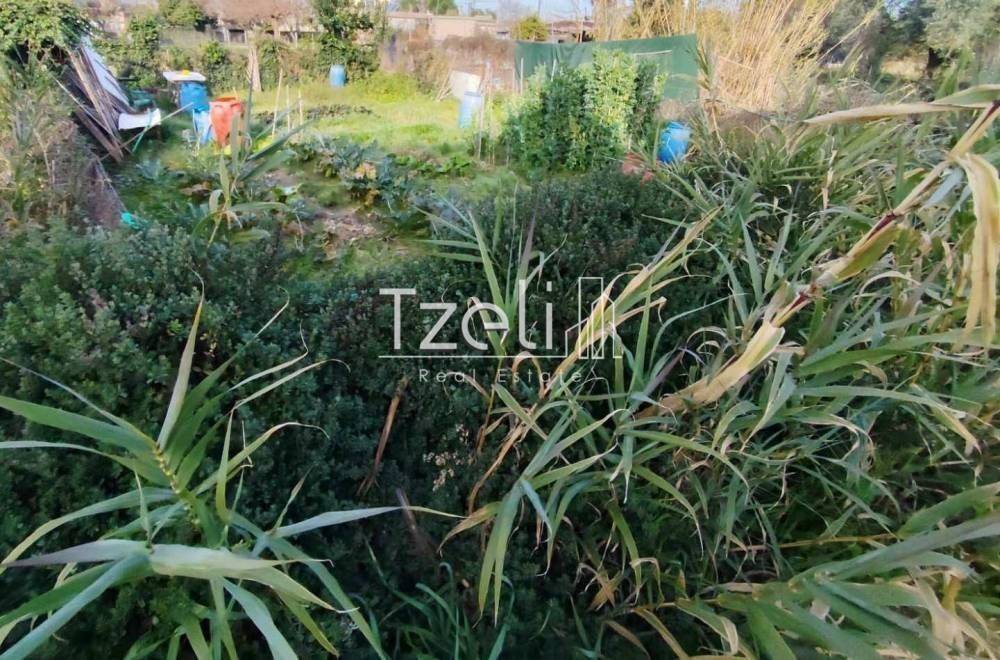 Άποψη οικοπέδου