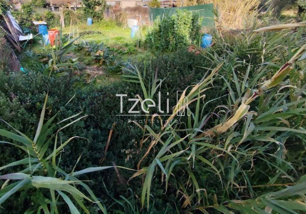 Άποψη οικοπέδου