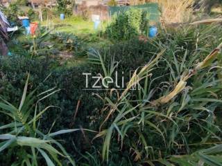 Άποψη οικοπέδου