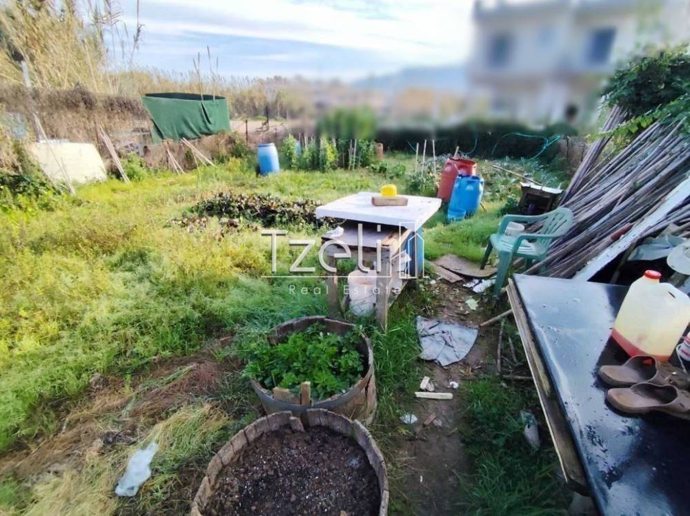 Άποψη οικοπέδου