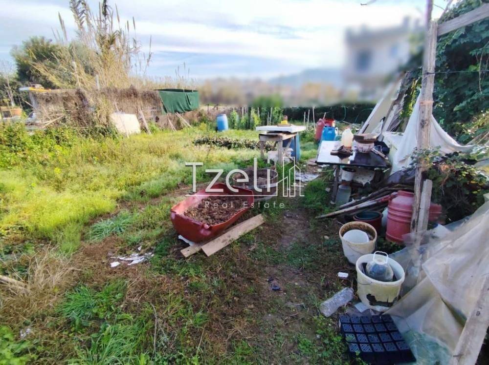 Άποψη οικοπέδου