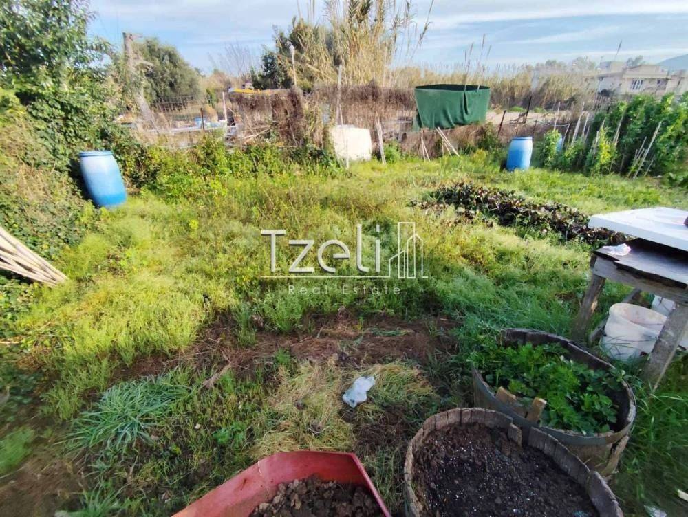 Άποψη οικοπέδου