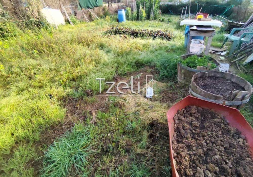 Άποψη οικοπέδου