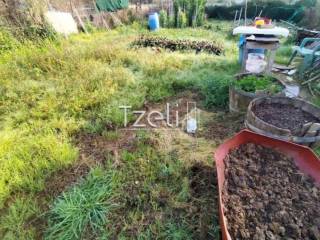 Άποψη οικοπέδου