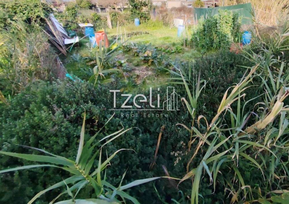 Άποψη οικοπέδου