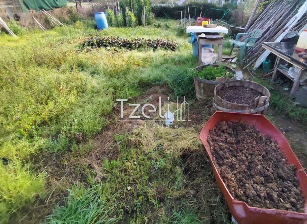 Άποψη οικοπέδου