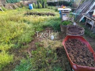 Άποψη οικοπέδου