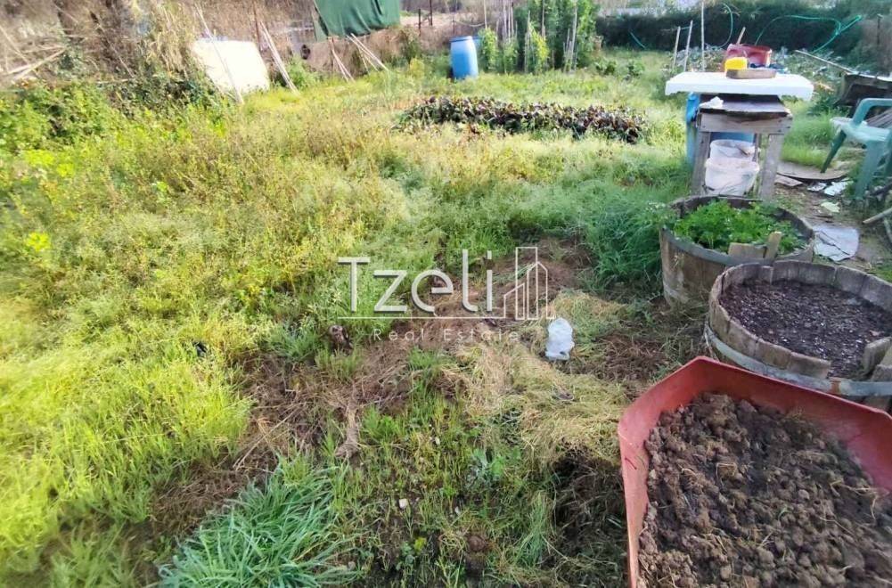 Άποψη οικοπέδου