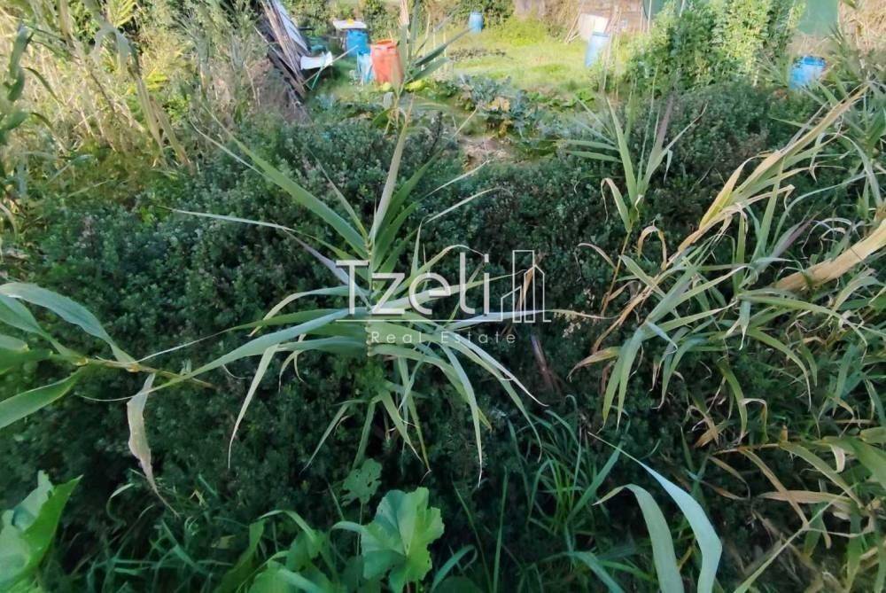 Άποψη οικοπέδου