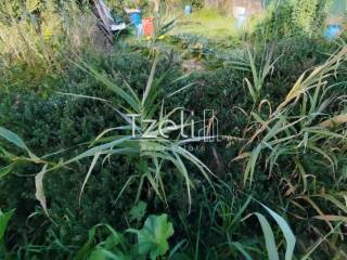 Άποψη οικοπέδου