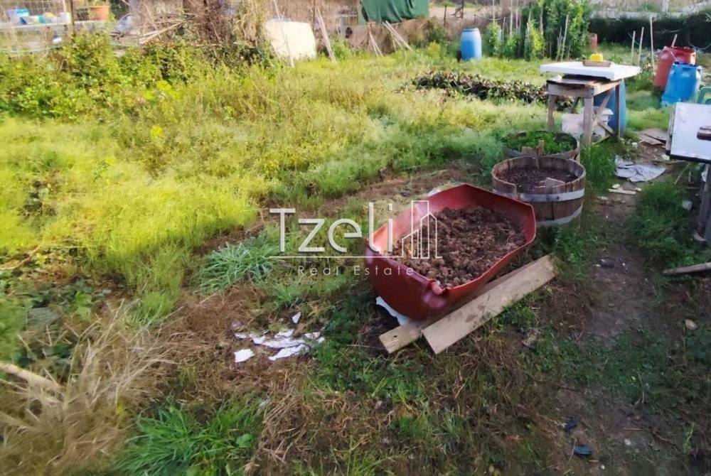 Άποψη οικοπέδου